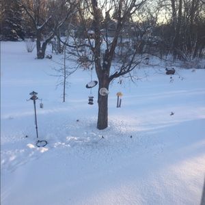 Meet your Posher, Scot